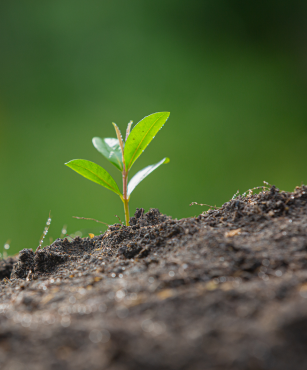 Hoffnung trotz Klimaangst: Das ermutigt die Klimajugend