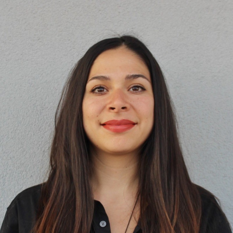 Nina Imboden, Verein für Umweltpsychologie Schweiz